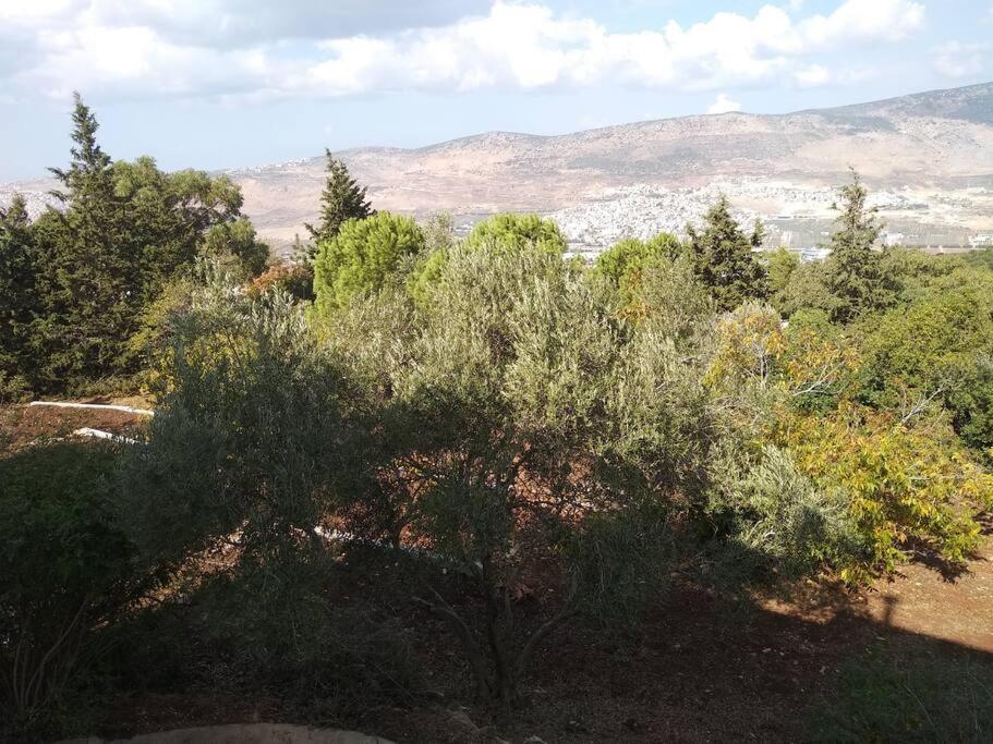 הבית ליד הבוסתן Mikhmannim Kültér fotó